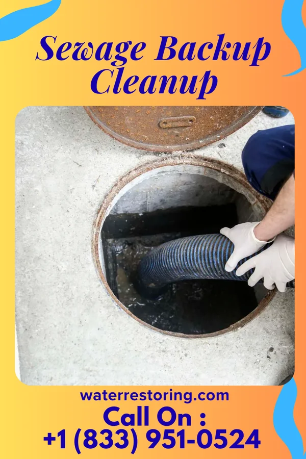 Sewage Backup Cleanup in Scranton, IA