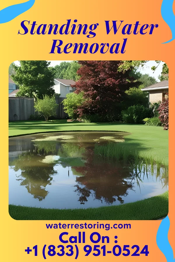 Standing Water Removal in Scranton, IA
